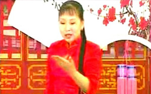 《胡中华河南坠子皇爷私访陈州城10集mp3下载》MP3打包下载-胡中华,河南坠子,皇爷私访陈州城