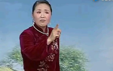 《河南坠子《中红袍》莫红梅》MP3打包下载-河南坠子,中红袍