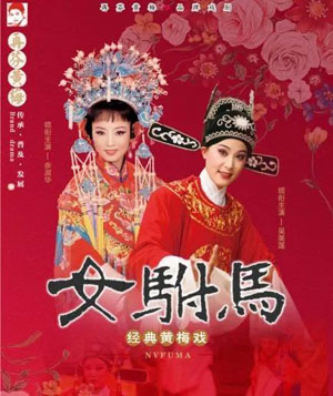 《黄梅戏MP3版女驸马全集-韩再芬打包下载》MP3打包下载-黄梅戏MP3,女驸马,韩再芬