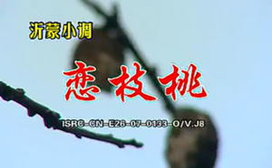 《沂蒙小调 恋枝桃 四部共16集 标清MP4视频打包下载》MP3打包下载-沂蒙小调,恋枝桃,MP4视频打包下载